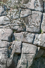 old rock in cracks and mosses in the background