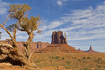 Desert at Monument Valley, Arizona and Utah