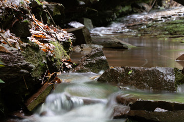 Flowing creek