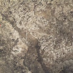 old concrete grungy background