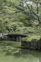 Fototapeta na wymiar Vintage Japanese Garden