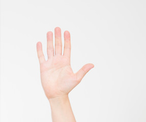 Obraz na płótnie Canvas hand isolated on white.Voting hand. Mock up. Copy space. Template. Blank.