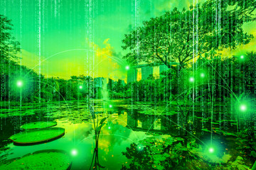 Obraz na płótnie Canvas Concept of digital connection and transactions connectivity between digital trees of a computer grove. Virtual skyline with matrix sky background in green color. Concept of virual money and bitcoin.