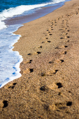 Fototapeta na wymiar summer vacation background - footprints on the beach with golden sand
