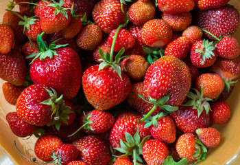 delicious sweet juicy strawberry