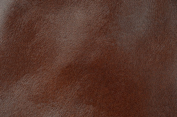 Natural leather background