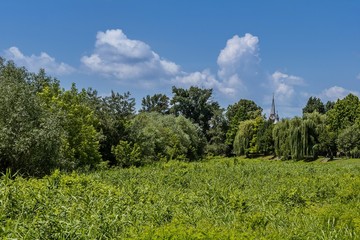Hello, summer solstice