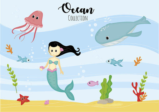 ocean collection