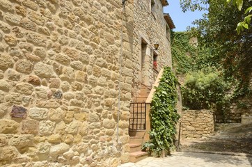 Ivy on stone alley  in Pals, Girona, Spain