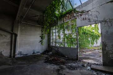 eingang in einer fabrik mit pflanzen