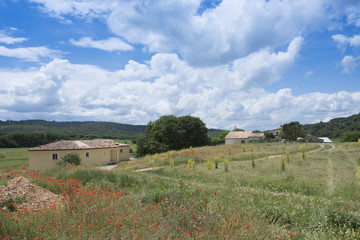 house under blue sky with summer flowers in the foreground near french town of aix en provence