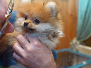 man hugging puppy