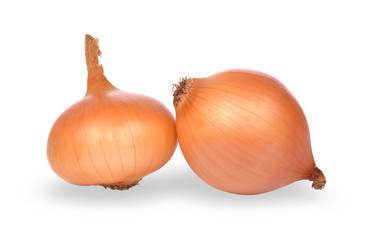 Onions isolated on white background