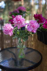 Fresh peonies flowers 