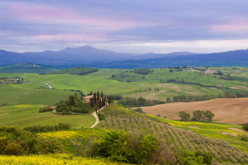 sunrise on fields and meadows in the hills of the Tuscan