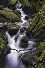 Obraz premium Pucks Glen waterfall