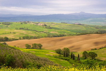 sunrise on fields and meadows in the hills of the Tuscan