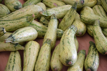 Zucchini