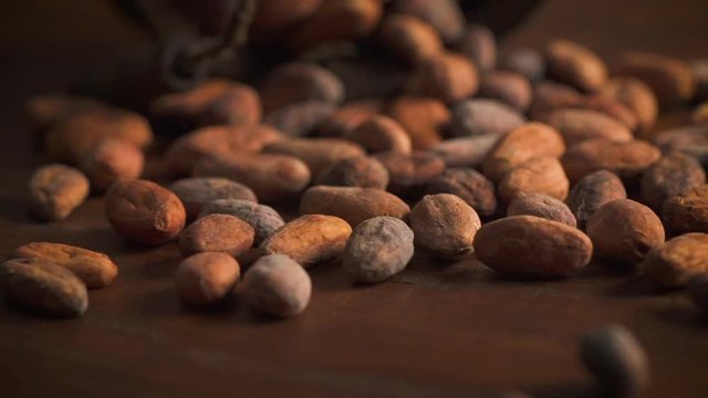 Raw Theobroma cacao beans scattered on wooden background