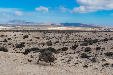 Canaries, Fuerteventura