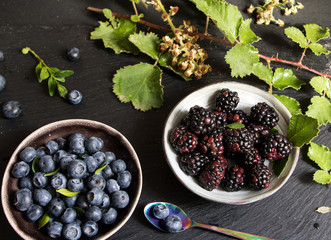 Schüsselchen mit Heidelbeeren, Brombeeren Ranken und Brombeerblüten © katinkah