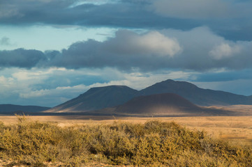 Fototapeta premium Canaries, fuerteventura, decembre
