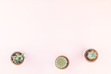 Top view of small pots with decorative cactuses