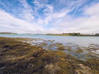 Spring forest park,Northern Ireland