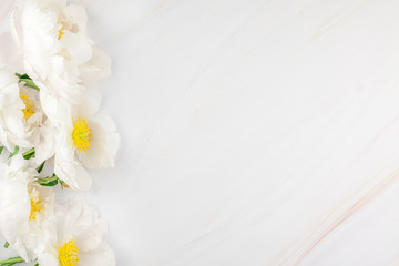 Obraz premium White peony flowers on marble background