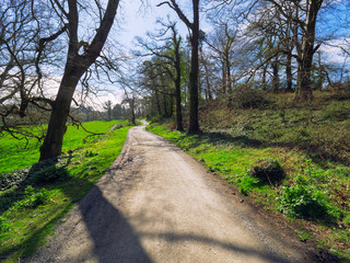 Sunny spring countryside,Northern Ireland