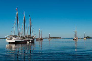 Fototapeta premium Wooden Boats Gather at Boat Festival