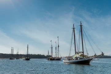 Fototapeta premium Wooden Boats Prep to Leave Gathering
