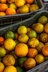 Fresh Picked Oranges in Old Crates for Sale on a Street in Cuba