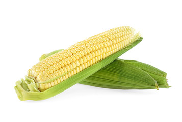 Ear of corn isolated on a white background