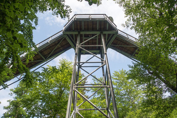 Tree top Trail seen from below, Bad Harzbug, Harz Mountains, Germany