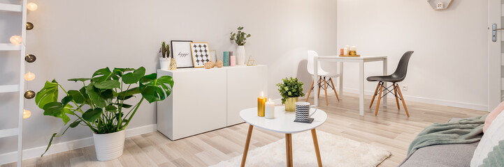 Living room with white furniture