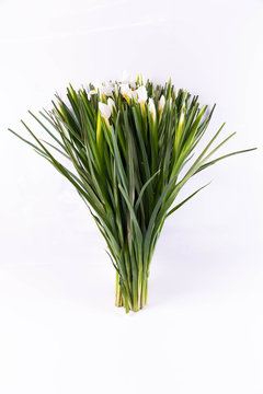 White irises in a bouquet