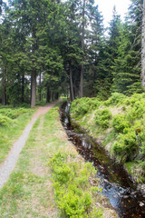 Hiking path Channel “Clausthaler Flutgraben” - Part of the World Heritage Site “Upper Harz Water Management System”, Harz Mountains, Germany