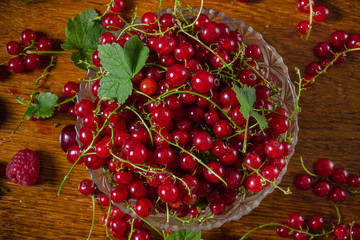 still life of berries fruits raspberries red currant cherries apricot mulberry