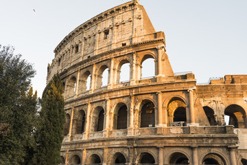 Fototapeta premium Exterior of the Colosseum in Rome