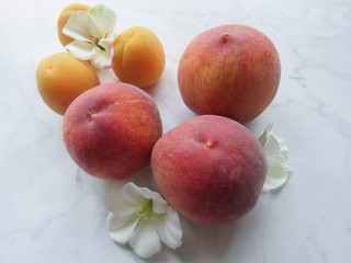 peaches and apricots