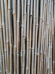 Bamboo gray and biege poles background texture