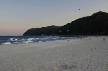 GDYNIA, POLAND: SEPTEMBER 29, 2017 - The main beach located in central city-port of Gdynia is often besieged by seagulls. Late afternoon on September 29, Poland