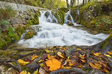 wild cascades of waterfall with leaves in Croatia