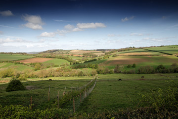 Naklejka premium north york moors