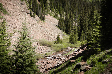Naklejka premium Green landscape view of Booth Falls hiking trail near Vail, Colorado. 