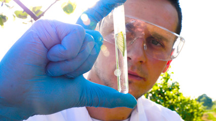 A young handsome (male) biologist or agronomist, takes analyzes of moisture leaves, dna, pipette,...