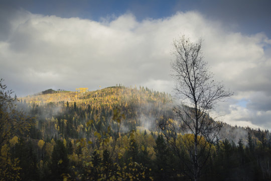 Clouds covered mountain peak with yellow autumn trees