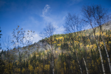 Mountain ridge with autumn forest