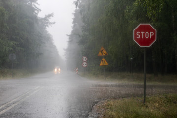 The road for cars in the rain. Asphalt road in the forest with road marking.